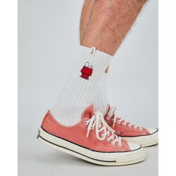 Peanuts Doghouse Socks White