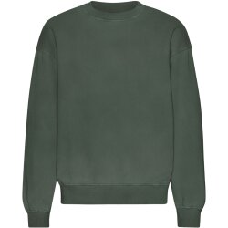 Organic Oversized Crew ght Forest